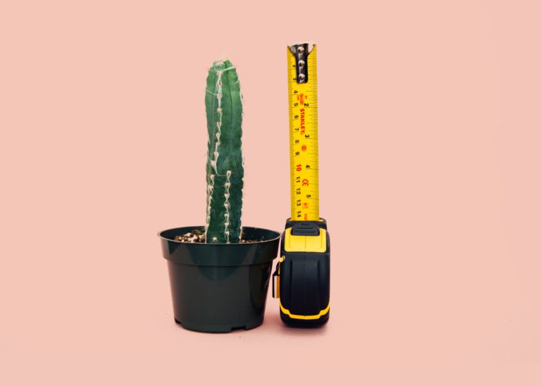 measure-success