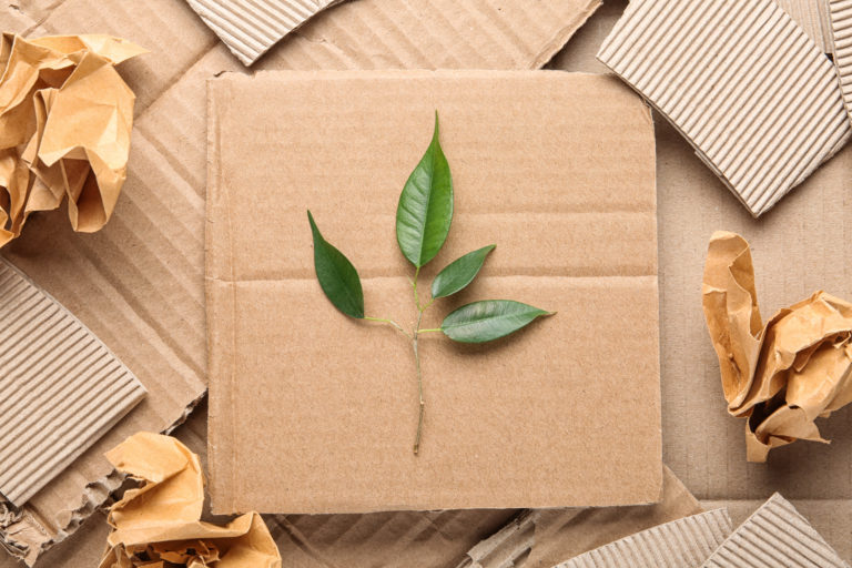 sustainable recyclable packaging