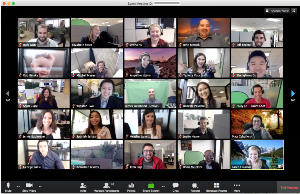 big team having a virtual meeting on Zoom