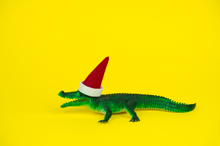 Enhance Your Brand: 5 Steps to Revitalise Bland Product Descriptions